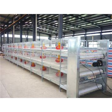 Professional manufacturer broiler cage system